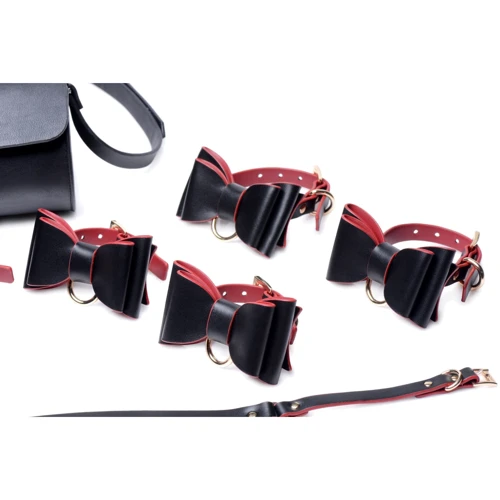 Набор для BDSM Master Series Bow - Luxury BDSM Set With Travel Bag: Для кого Для пары