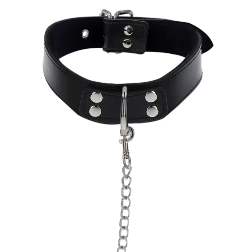 Ошейник на поводке Taboom Elegant Collar and Chain Leash фото 4