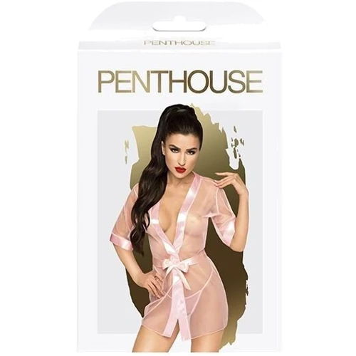 Комплект с прозрачным пеньюаром и миниатюрными стрингами Penthouse - Midnight Mirage Rose S/L: Вид Комплекты