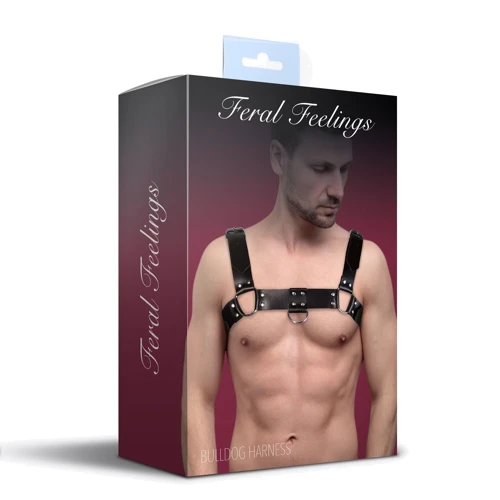 Мужская портупея на грудь из натуральной кожи Feral Feelings - Bulldog Harness Black: Вид Портупеи