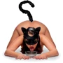 Рольовий БДСМ набір кота Tailz Black Cat Tail Anal Plug & Mask Set: Виробник Tailz