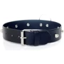 Ошейник с шипами Fetish Boss Series - Collar with studs (BS3300097): Для кого Унисекс