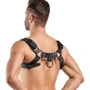 Портупея Bedroom Fantasies Bruno Chest Bulldog Harness - Black: Матеріал Эко-кожа