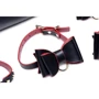 Набір для BDSM Master Series Bow - Luxury BDSM Set With Travel Bag: Виробник Master Series