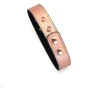 Нашийник із затискачами для сосків Liebe Seele Rose Gold Memory Collar with Nipple Clamps: Виробник Liebe Seele