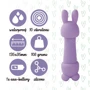 Мини-вибратор FeelzToys Mister Bunny Purple с двумя насадками: Тип управления Кнопочное