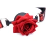 Кляп Master Series Eye-Catching Ball Gag With Rose фото 7