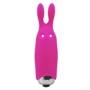 Мінівібратор Adrien Lastic Pocket Vibe Rabbit Pink: Призначення Кліторальні