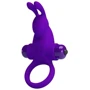 Кільце ерекційне серії Pretty LoveVibrant penis ring I, BI-210204-1