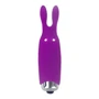 Минивибратор Adrien Lastic Pocket Vibe Rabbit Purple: Назначение Клиторальные