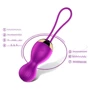 Вагинальные шарики с вибрацией и с пультом ДУ FOX - Vibrating Silicone Kegel Balls USB: Наличие вибрации Есть