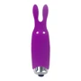 Минивибратор Adrien Lastic Pocket Vibe Rabbit Purple