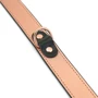 Нашийник із затискачами для сосків Liebe Seele Rose Gold Memory Collar with Nipple Clamps фото 4