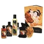 Подарунковий набір Shunga Sweet Kisses Kit