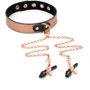 Нашийник із затискачами для сосків Liebe Seele Rose Gold Memory Collar with Nipple Clamps