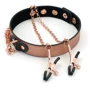 Нашийник із затискачами для сосків Liebe Seele Rose Gold Memory Collar with Nipple Clamps фото 10