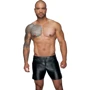 Мужские шорты Noir Handmade H061 Powerwetlook shorts Вlack, L: Вид Шорты