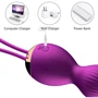 Вагинальные шарики с вибрацией и с пультом ДУ FOX - Vibrating Silicone Kegel Balls USB фото 9