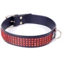 Нашийник із кристалами Fetish Boss Series - Collar with crystals Red (BS3300110): Для кого Унисекс