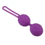 Вагинальные шарики Adrien Lastic Geisha Lastic Balls Mini Violet (S)