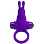 Кільце ерекційне серії Pretty LoveVibrant penis ring I, BI-210204-1: Колір фіолетовий